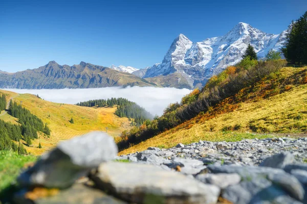 Bergtoppen Bos Weide Bergketen Heldere Blauwe Lucht Zwitsers Landschap Zomer — Stockfoto