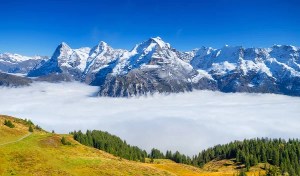 Pasmo Górskie Przez Chmury Pole Las Krajobraz Okresie Letnim Zdjęcie — Zdjęcie stockowe