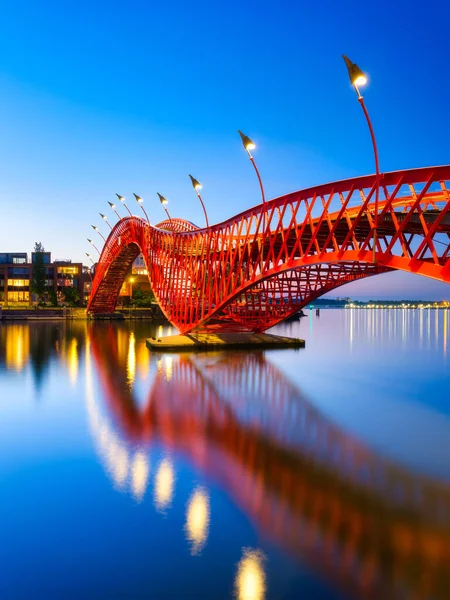 Python Bridge Amsterdam Pays Bas Pont Dans Ville Nuit Pont — Photo