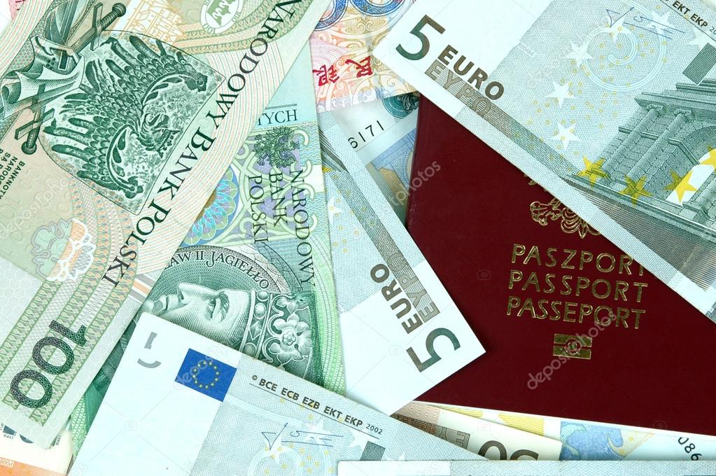 Passport cover and money