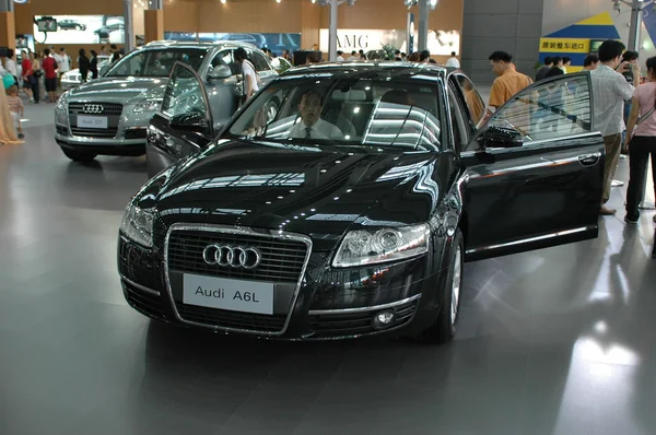 Araba Fuarı - shenzhen moto sırasında ziyaretçi