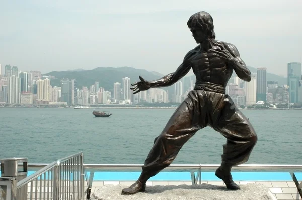 Kung-Fu heykel - hongkong — Stok fotoğraf