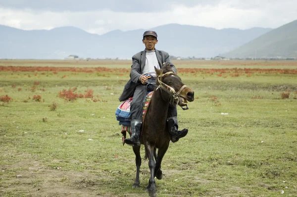 Horse rider in Shangrila — Stock Photo, Image