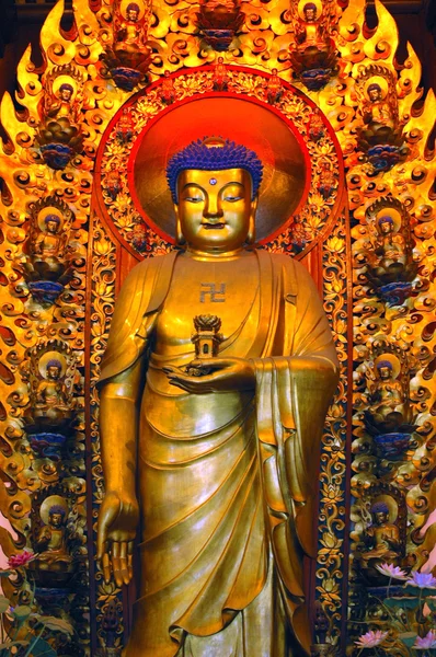 tapınaktaki - Şangay