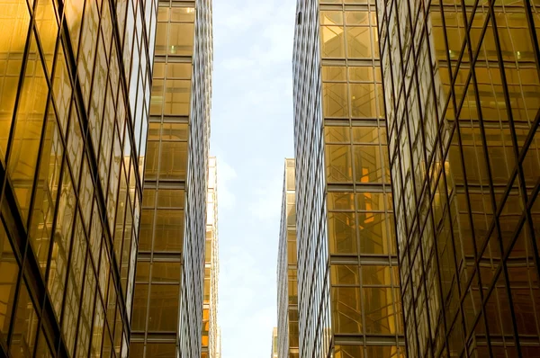 Hong Kong gökdelenler