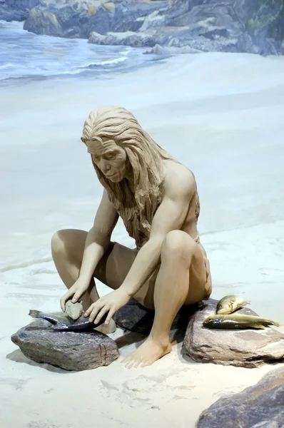 Tarih öncesi homosapiens