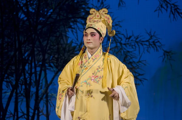 Chinese Opera - bad character portrait — Stock Photo, Image