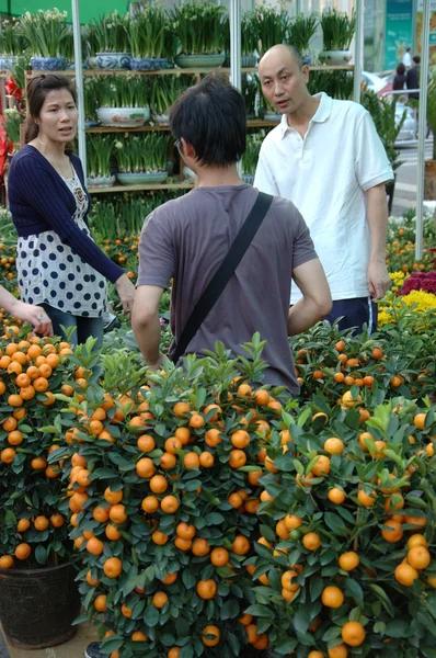 Tree for Chinese New Year — Stock Photo, Image