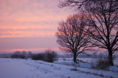 Polonya kış manzarası