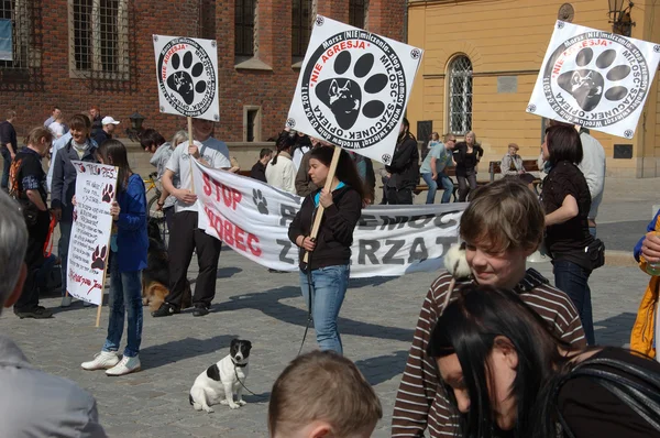 Protest against violence in Poland — Stock Photo, Image