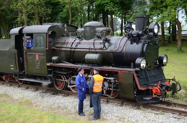 Ferrocarril de vía estrecha en Polonia — Foto de Stock