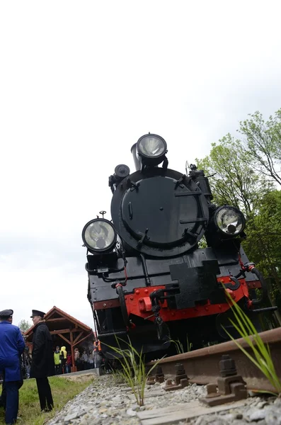 Ferrocarril de vía estrecha en Polonia — Foto de Stock