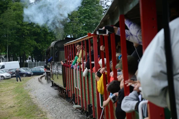 Ferrocarril de vía estrecha en Polonia — Foto de Stock