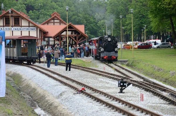 Ferrocarril de vía estrecha en Polonia — Foto de Stock
