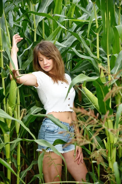 三十多岁的年轻女子的户外照片 波兰的夏季 穿着牛仔裤短裤的女人站在玉米地里 — 图库照片