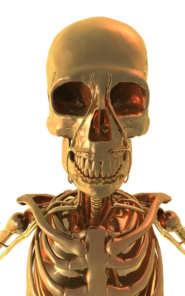 Golden Skull — Stock Photo, Image