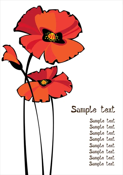Red vector poppies isolated on white background with copyspace — Stock Vector