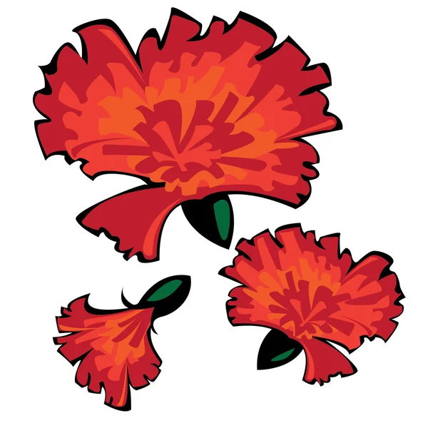 Three vector red carnations isolated on white background — Stock Vector