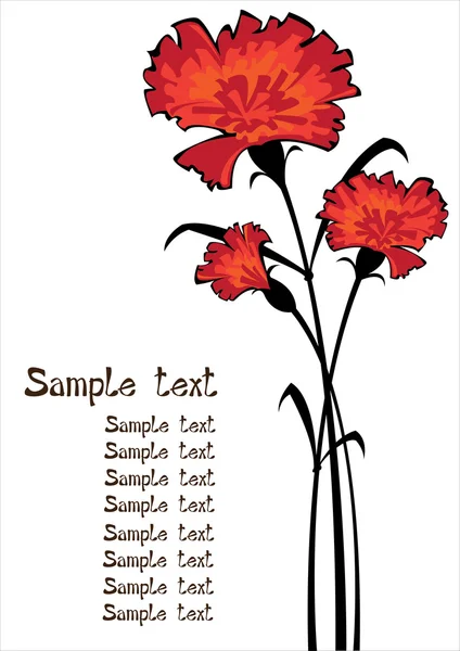 Red vector carnations isolated on white background with copyspace — Stock Vector