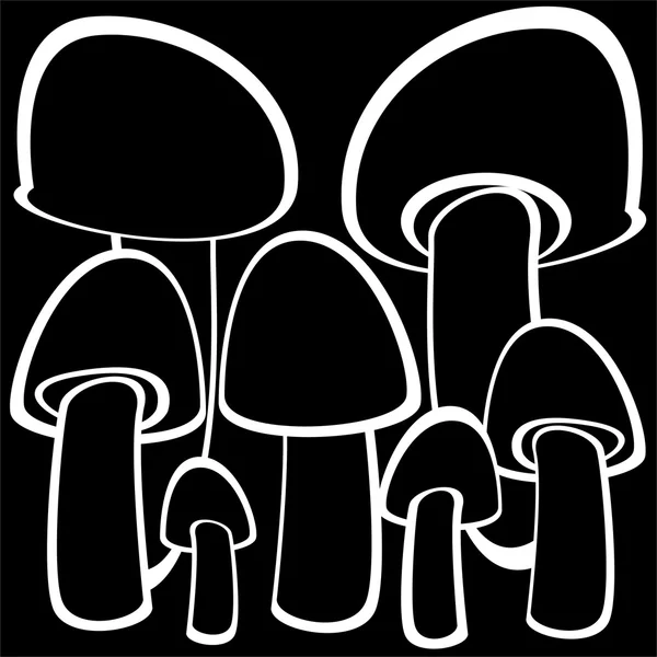 香菇蘑菇上孤立的黑色背景 — 图库照片