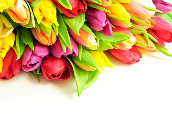 Tulpen mischen Regenbogenfarben auf weißem Hintergrund flach — Stockfoto