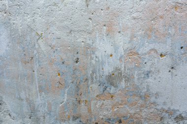 Arka plan açık gri beton duvar ve boya yengeci