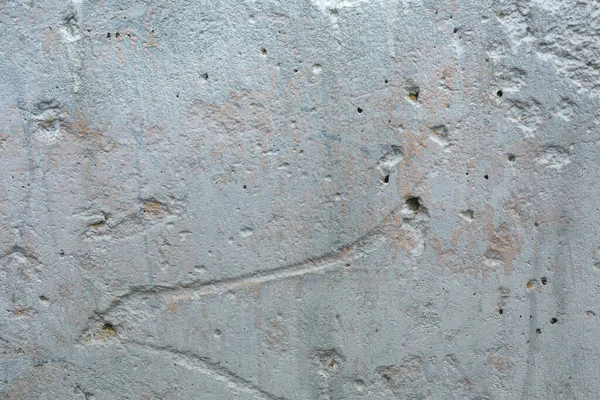 Arka plan açık gri beton duvar ve boya yengeci