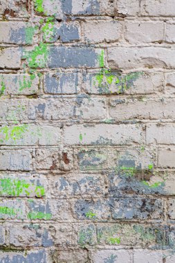 arkaplan duvarı diğer renklerle beyaza boyanmış