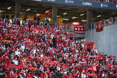 Kallang-Singapore-15JUL2022-Unidentified fan of liverpool in action during pre-season against crystal palace at national stadium,singapore