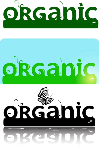 Organiczny ozdobny logotyp tekst — Wektor stockowy