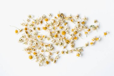 Beyaz arka planda tıbbi papatya çayı.. 