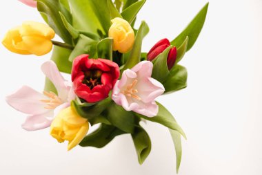 Beyaz arkaplanda çok renkli laleler 