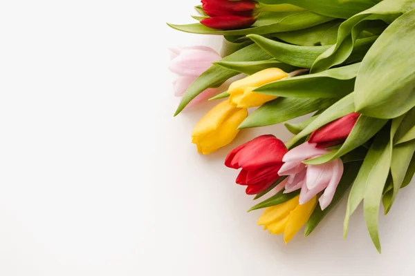 Цветные Тюльпаны Белом Фоне — стоковое фото