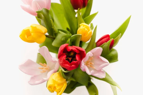 Bunte Tulpen Auf Weißem Hintergrund — Stockfoto