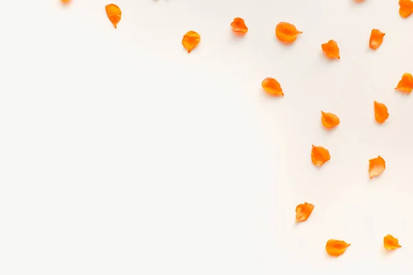 Chinese Quince Petals Orange Petals White Background — стоковое фото