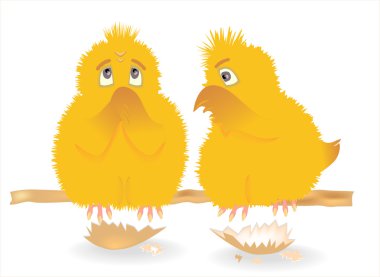 Chickens. clipart