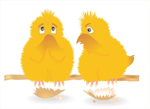 Kycklingar. — Stock vektor