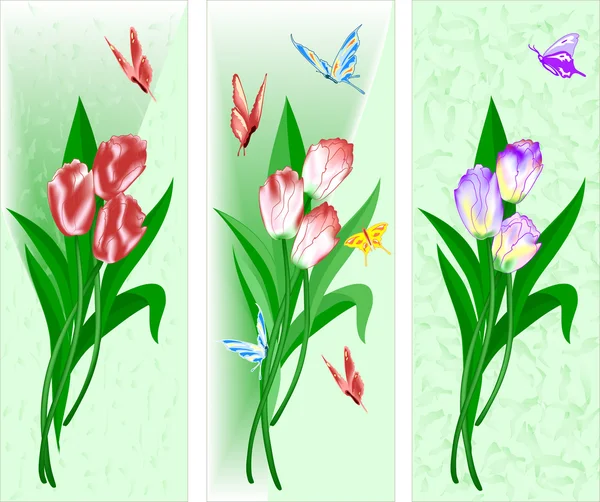 Three songs with a bouquet of tulips — Stock Vector