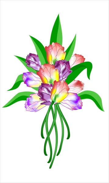 Three songs with a bouquet of tulips — Stock Vector