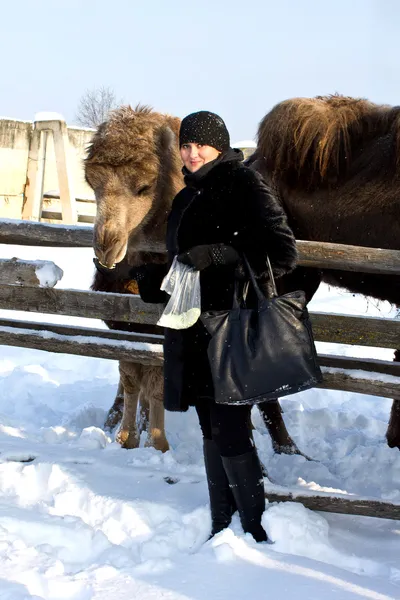 Woman feeding camel — Stock Photo, Image