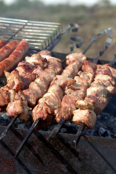 Fatias de carne em molho no fogo — Fotografia de Stock