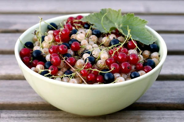 Harvested currant berries with green leaves in a cup — Stock Photo, Image