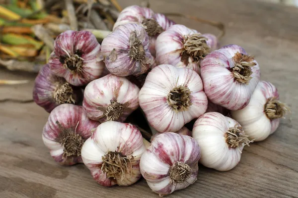 Sarımsak — Stok fotoğraf