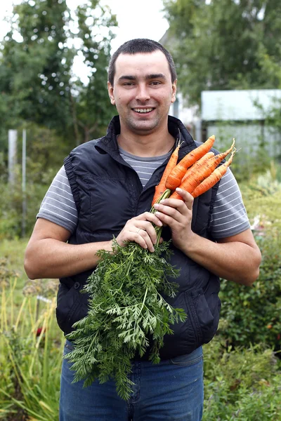Happy man holds a bunch of harvested carrots — Stock Photo, Image