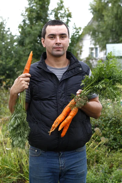 Happy man holds a bunch of harvested carrots — Stock Photo, Image