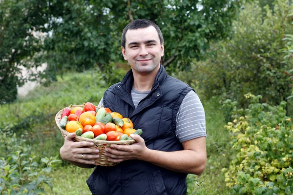 Улыбающийся фермер держит корзину овощей — стоковое фото