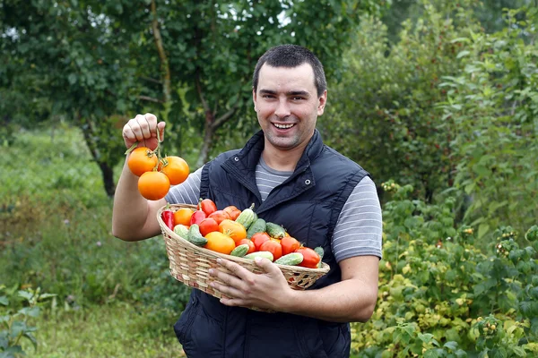 Усміхнений фермер тримає овочевий кошик — стокове фото