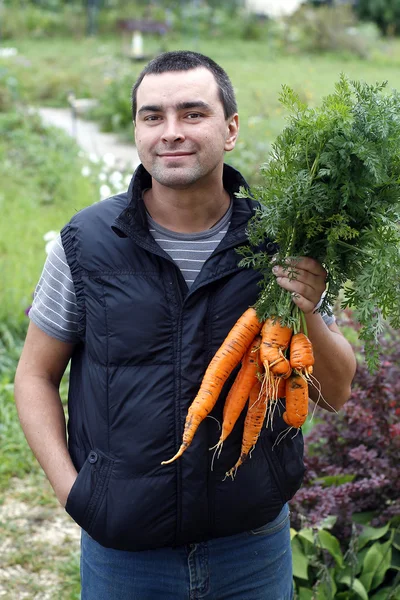Счастливый человек держит кучу собранной моркови — стоковое фото