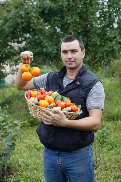 Smiling farmer holding vegetables basket — Stock Photo, Image