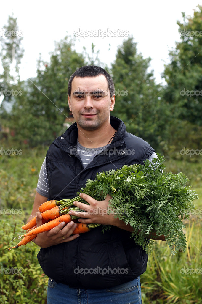 Happy man holds a bunch of harvested carrots